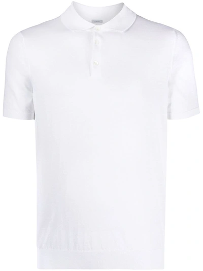 Malo Cotton Polo Shirt In White