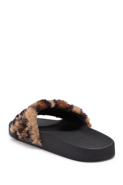 Bebe Faryn Embellished Faux Fur Slide Sandal In Leopard