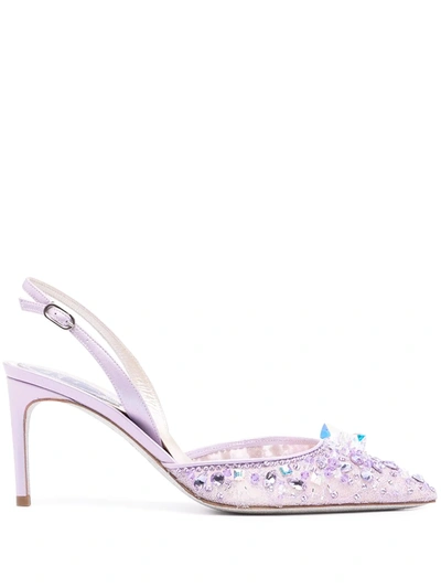 René Caovilla Cinderella 75mm Lace Pumps In Purple