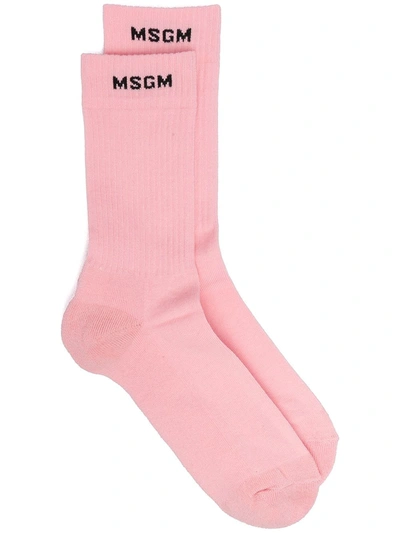 Msgm Socks With Micro Logo In Pink