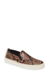 The Flexx 'sneak Name' Sneaker In Dark Brown Leather