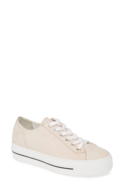 Paul Green Ally Leather Low Top Sneaker In Rouge Nubuk