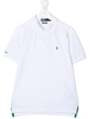 RALPH LAUREN THE EARTH EMBROIDERED POLO SHIRT