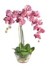 Nearly Natural Phalaenopsis With Glass Vase Silk Flower Arrangement In Purple