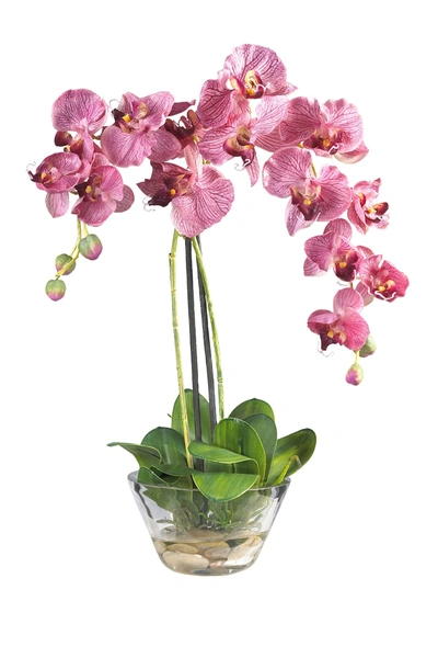 Nearly Natural Phalaenopsis With Glass Vase Silk Flower Arrangement In Purple