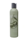 ABBA GENTLE SHAMPOO,618862550306