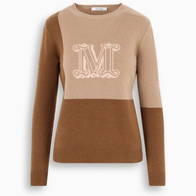 Max Mara Maxmara Caimano - Pure Cashmere Yarn Jumper In Beige,brown,pink