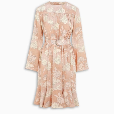 Chloé Dress Gown In Pink