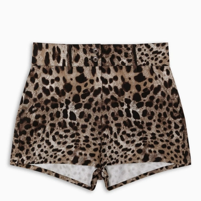 Dolce & Gabbana Leopard Print Shorts In Multicolor