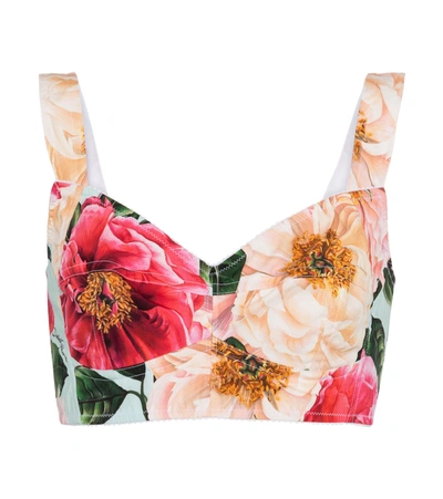 Dolce & Gabbana Short Camellia-print Poplin Bustier In Multicoloured