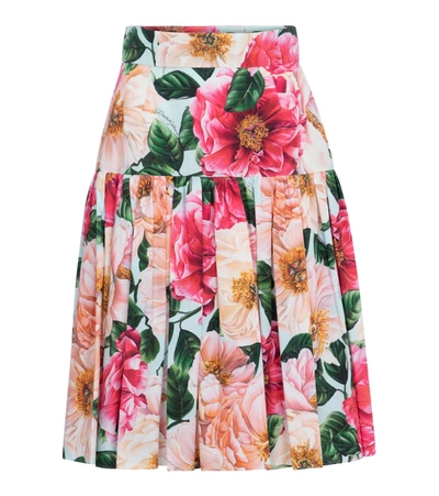 Dolce & Gabbana Floral Print A-line Poplin Skirt In Pink