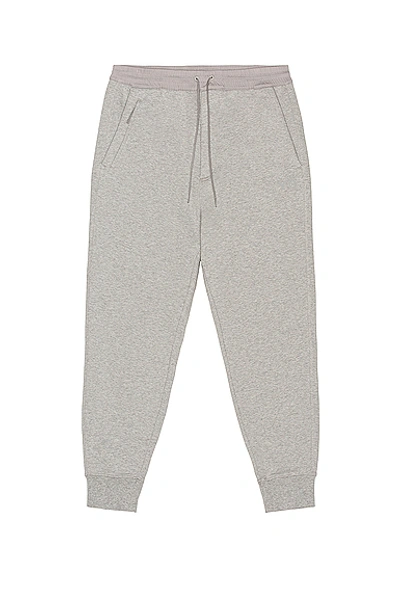 Y-3 Classic Terry Cuffed Pants (medium Grey Heather)