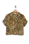 Tan Leopard