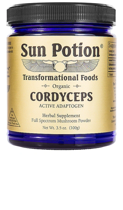 Sun Potion Cordyceps Active Adaptogen Mushroom Powder In N,a