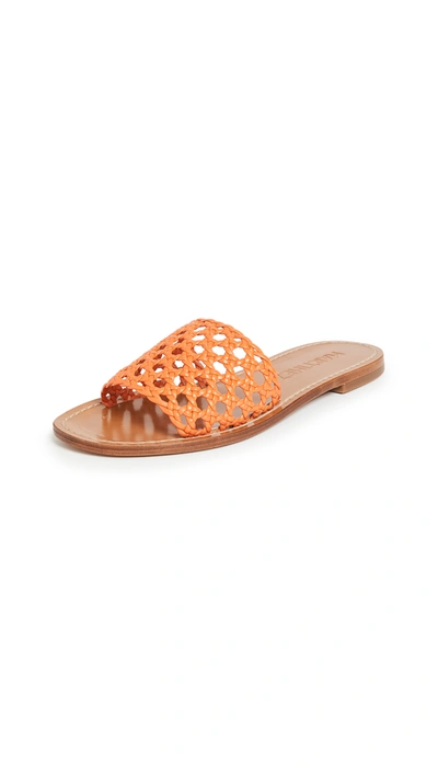 Souliers Martinez Playa Rejilla Sandals In Calendula