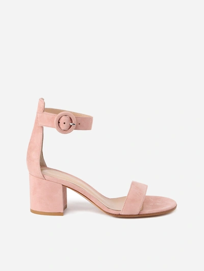 Gianvito Rossi Versilia 60 Shoes In Suede In Pink
