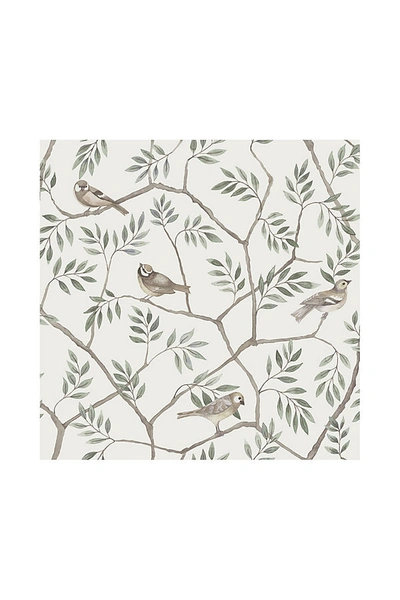 Anthropologie Crossbill Branches Wallpaper In White
