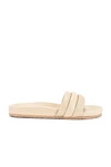 Seychelles Low Key Slide Sandal In Ivory