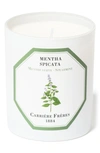 Carriere Freres Cedar Candle In Spearmint