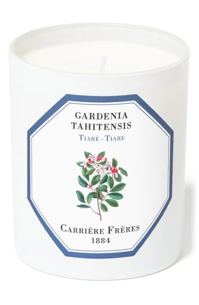 Carriere Freres Cedar Candle In Tiare