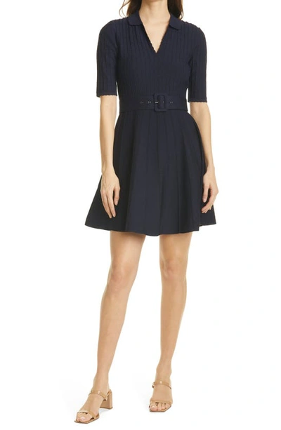 Ted Baker Aleee Collared Knit Skater Dress In Navy