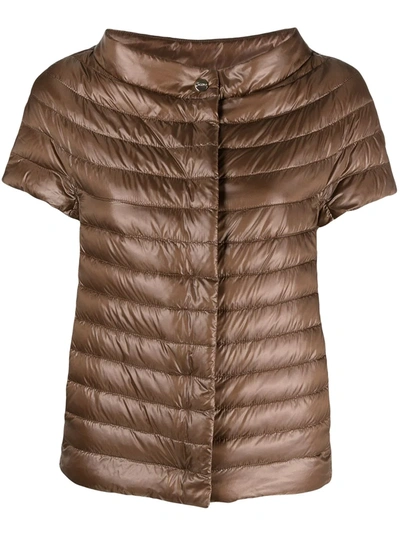 Herno Margherita Short-sleeve Puffer Jacket In Brown