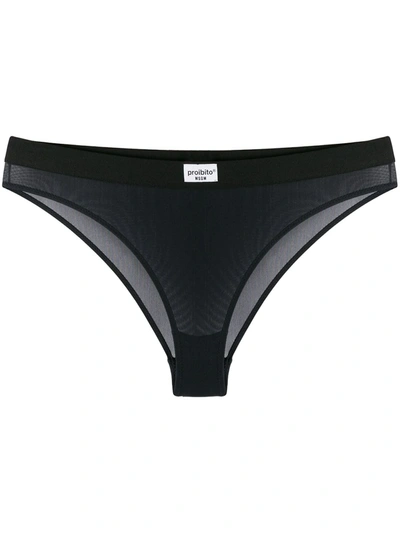 Msgm Proibito Briefs In Black