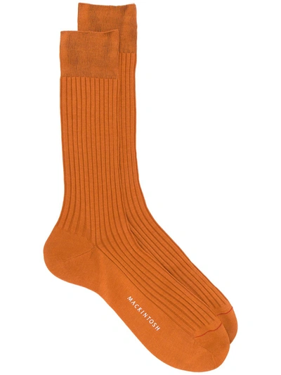 Mackintosh Mid-calf Ribbed Knit Socks In Orange