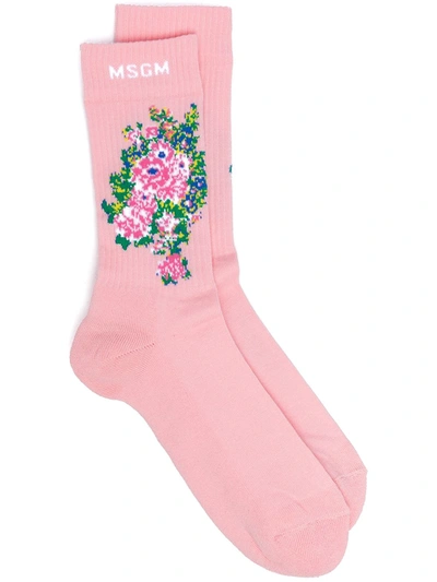 Msgm Floral Intarsia Socks In Pink