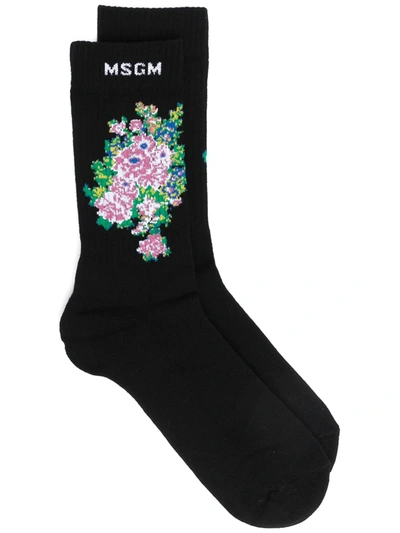 Msgm Floral Intarsia Socks In Black