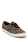 KEDS CHAMPION LEOPARD PRINT SNEAKER,194713274978