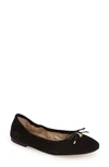 Sam Edelman Felicia Bow-embellished Suede Ballet Flats In Black Suede
