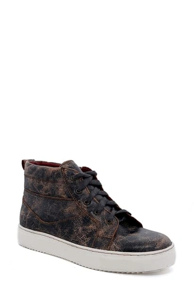 Bed Stu Bad Stu Rossela High Top Sneaker In Wild Forest