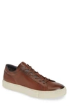 TO BOOT NEW YORK KNOX LOW TOP SNEAKER,632449810393