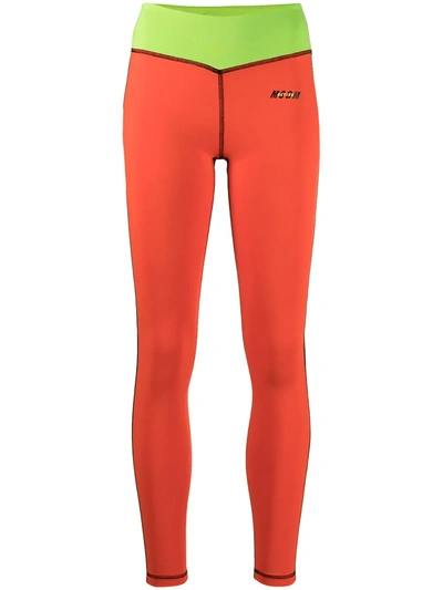 Msgm Colour Block Logo Print Leggings In Orange