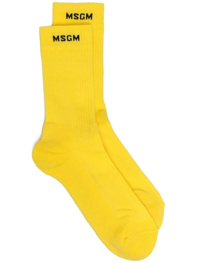 Msgm Socks With Micro Logo In Yellow