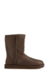 Ugg Classic Short Wool Lined Leather Boot In Bwst