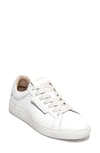 Allsaints Sheer Logo-print Low-top Leather Trainers In White
