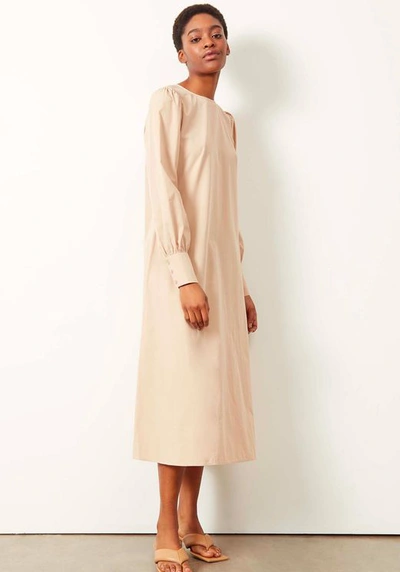 Aligne Organic Cotton Midi Dress With Detailed Sleeves In Stone-neutral