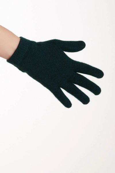 Portolano Solid Cashmere Gloves In Forest
