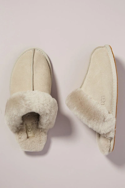 Ugg Scuffette Slippers In Grey