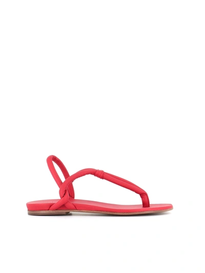 Del Carlo Flip-flop 10725 In Red