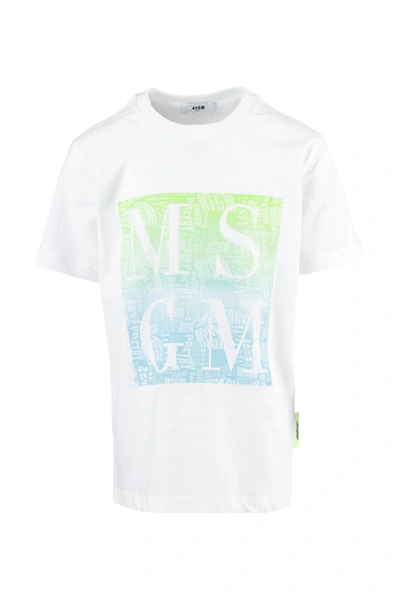 Msgm Kids' T-shirt In Bianco