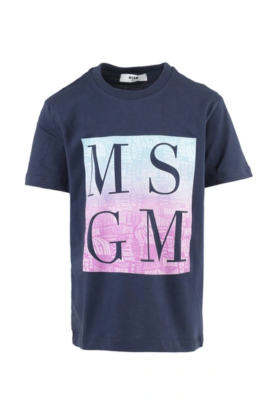 Msgm Kids' T-shirt In Blu