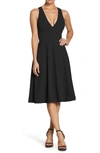 DRESS THE POPULATION CATALINA FIT & FLARE COCKTAIL DRESS,843301114980