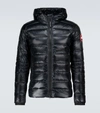 Canada Goose Black Label Crofton Hoodie Jacket Black - Noir In Black