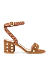 Gianvito Rossi Studded Suede Ankle-strap Sandals In Texas Cuoio