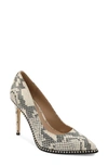 Bcbgeneration Holli Pointed Toe Pump In Ivory Snake Print Leather