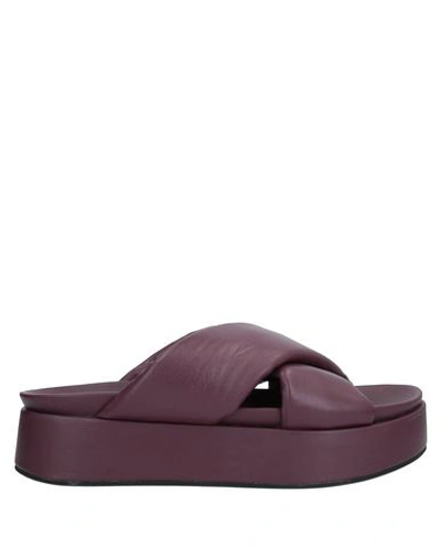 Habille' Italy Sandals In Deep Purple