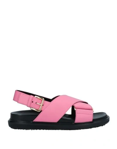 Marni Sandals In Pink